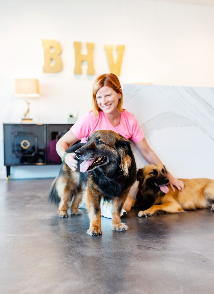 BHV Guide: Preparing Your Pup For A Boarding Stay